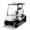 Buy cheap 60V 50 Mph Electric Golf Cart Small Golf Buggy Two Seat OEM from wholesalers