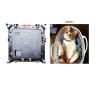 Buy cheap P2mm HD LED Display from wholesalers