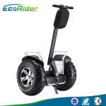 110-240V Two wheeled electric vehicle segway with 21 inch shock - absorber