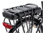 36V 250W Electric Mountain Bikes High Configuration Lightweight Lady