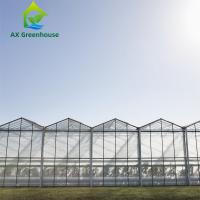 Buy cheap Triangle Roof Agricultural Glass Greenhouse 9.6m Width Winter Lettuce Greenhouse product