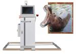 CMYKW 3D UV Wall Printer