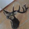 Buy cheap Deer Head Animal Wall Decor Sculptures Hanging vintage style Customized from wholesalers