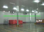 Small Walk in Freezer/Chiller for Vegetables Fruits Refrigerant Freon Cold