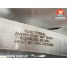 Buy cheap ASTM A240 TP904L (1.4539) AWWA C207 Steel Flange SOFF For Waterworks from wholesalers