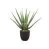 Buy cheap BSCI Artificial Potted Floor Plants Fake Aloe Vera Plant OEM ODM from wholesalers