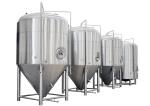 Color Mirror Polish / Steel Small Conical Fermenter For Beer Brewing Kits