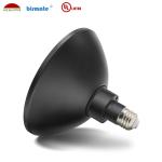 Underwater 240V Waterproof pool light bulb color , Par56 outdoor pool lighting