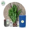 Buy cheap Skin Whitening Aromatherapy Essential Oils Rosemary Essential Oil Customized from wholesalers