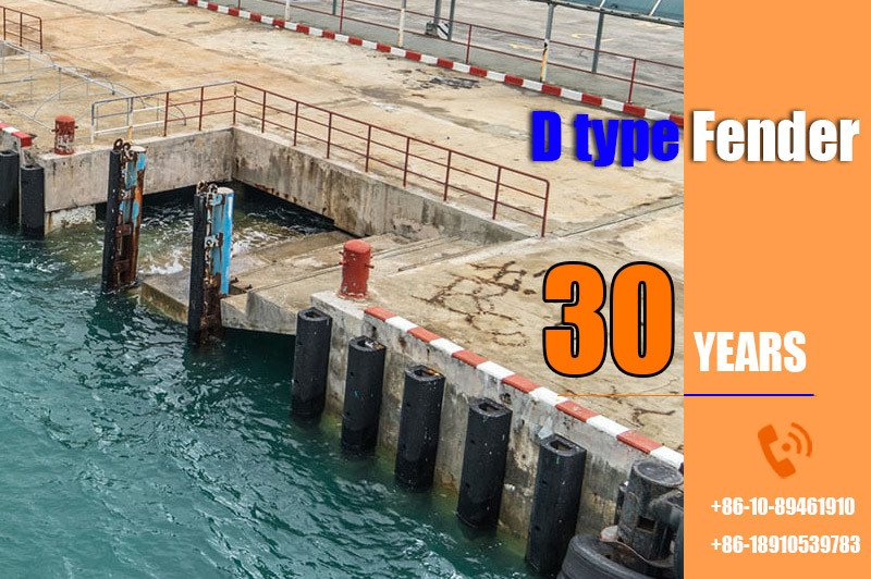 Durable D Fenders UV Ozone Saltwater Resistant For Long Term Dock Protection