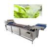 Buy cheap Belt Type 2T/H Vegetable Fruit Washing Machine High Pressure Spray Washing Machine from wholesalers