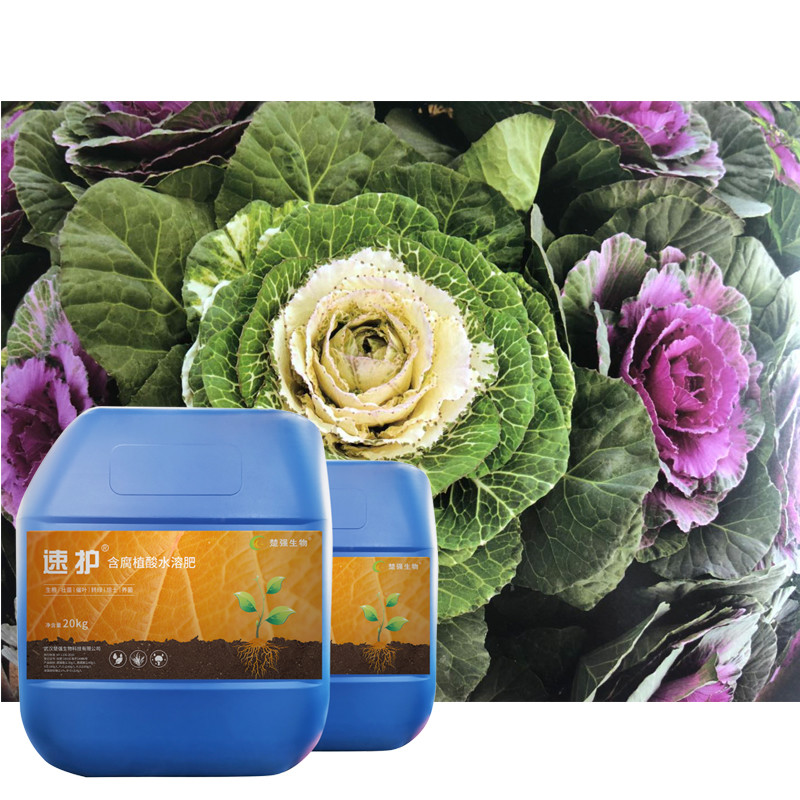 Suhu Humic Water Soluble Acidic Biochemical Fertilizer Liquid Hormone Free Promote Root