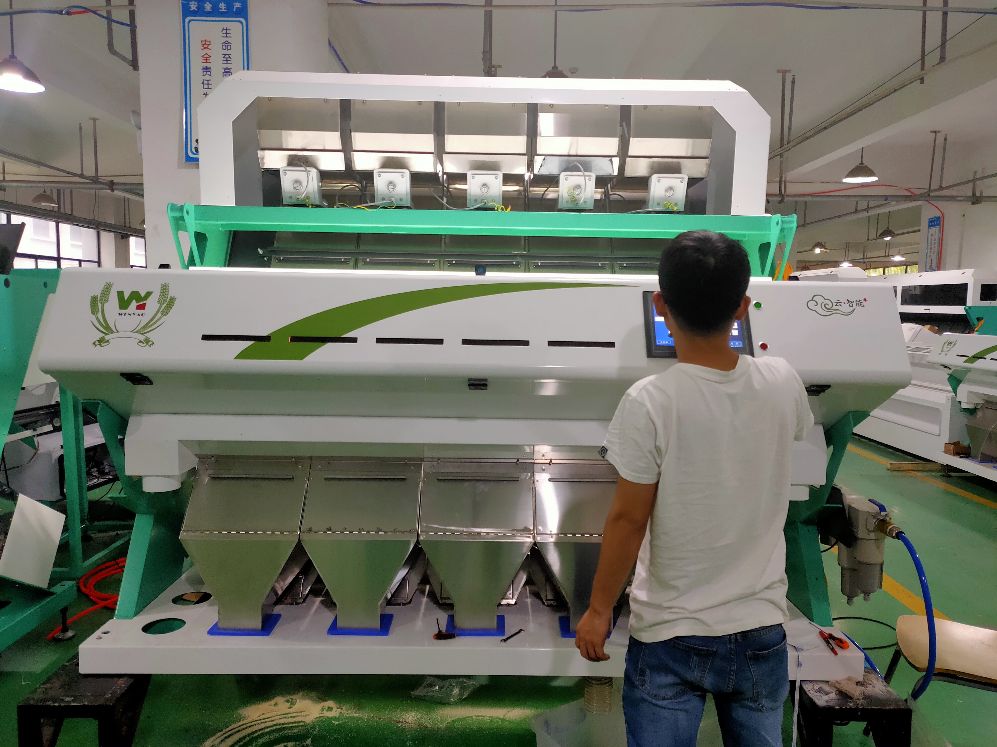 New Design Optical CCD Small Garlic Color Sorter Manufacturer Multifunction Color Sorting