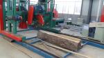 Heavy Duty Electric Double Saw Blade Angle Sawmill DS1300 Portable Wood Circular