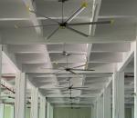 5.5M 0.75KW Big Size High Volume Low Speed Fans