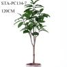 Buy cheap Low - Maintance Artificial Rubber Tree Evergreen Plant Modern Lifestyle from wholesalers