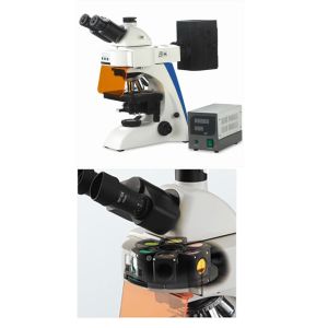 Infinity Optical Trinocular Biological Microscope , Trinocular Compound