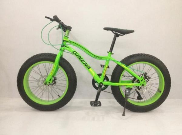Buy cheap AAA Quality Steel 20 Inch Fat Tire Electric Bike from wholesalers
