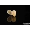 Buy cheap Emax Maryland Veneer Clinical Bonding Adhesion For Color Matching Dental Repair from wholesalers