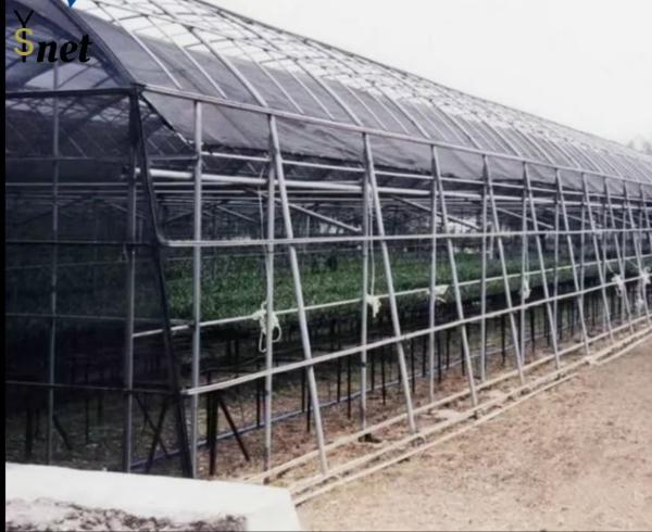 Buy cheap 85% Greenhouse Shade Cloth Black Garden Shade Netting 2*100m 4*50m 6*50m 8*50m from wholesalers