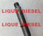 BOSCH injector 0432193498 0 432 193 498 DEUTZ 02113775 0211 3775 2113775