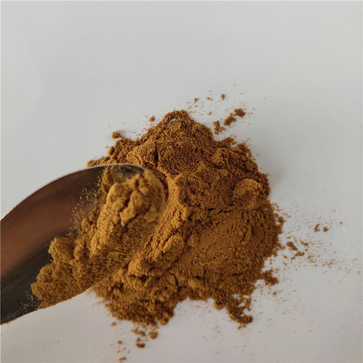 Herbal Medicine Figwort Root Extract For Detoxification