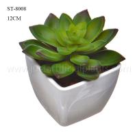 Buy cheap Realistic Imitation Faux Succulent Flower Green Decorative Plant In Plastic Pot product