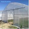 Buy cheap Tunnel Plastic Film Greenhouse / Vegetable Greenhouse Climate Control Economical from wholesalers