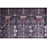 Buy cheap Quartz Series Indoor Outdoor 500×1000mm Rental LED Display for Rental, Fixed and Floor from wholesalers
