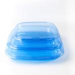 Square food container Takeaway Packaging Box Plastic For Good Food Plastic BLUE