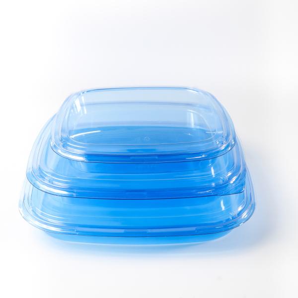 Buy cheap Square food container Takeaway Packaging Box Plastic For Good Food Plastic BLUE Disposable Sushi box from wholesalers
