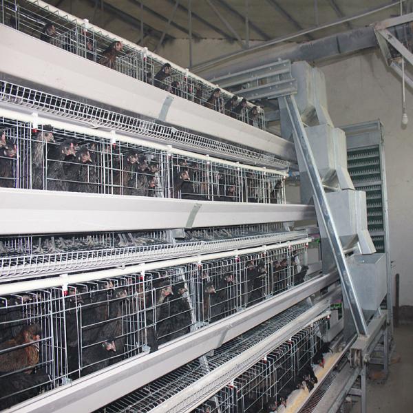 Buy cheap HDG Q235 Layer Chicken Coop , 160 Birds Hens Poultry Battery Cage from wholesalers