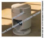 W2T1-PN10-80A sea water tank float type aluminum alloy breathable cap / sea