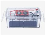 OEM ODM LiFePO4 Battery Most Popular Seller with Transparent Case 12V 300Ah