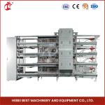 ISO14001 Certified Automatic Broiler Chicken Cage System 25 Years Long Lifespan