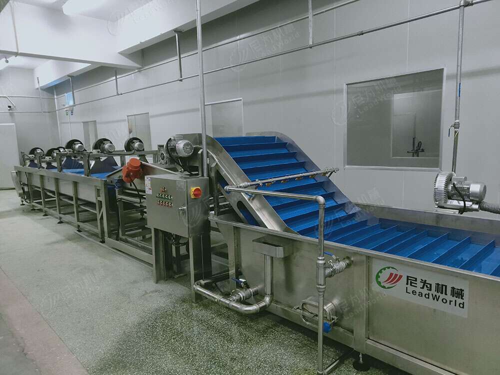 Multiple Temperature Control Carrot Washer Washing Machine Radish Cleaning Machine