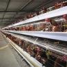 Buy cheap Soncap 128 Birds/Set 4 Layer Chicken Cage For Laying Hens 8436290000 from wholesalers