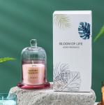 Aromatherapy Party Glass Candle Holder Home Decoration Christmas Candle Jar
