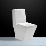 Dual Flush Floor Mounted Wc With P Trap Diamond Shape Washdown