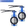 Buy cheap Depends on Specifications Double Flanged Lug Type Butterfly Valves and Fitting from wholesalers