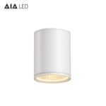 IP65 waterproof DALI dimmable 30W COB LED down light&outdoor LED down lamp for