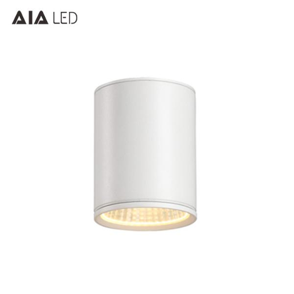 IP65 waterproof cylindrical TRIAC dimming downlight 30W 0-10V dimmable exterior