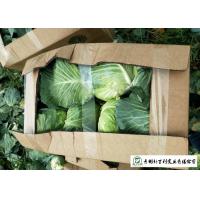 Buy cheap Natural Hue All Season Cabbage 2.5 Kg / Per Helps Improve Digestion product