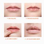 Natural Moisturizing Lip Balm Repair Exfoliating Organic Plumper Vegan Lip Balm