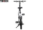 14 Inch Long Range Electric Bike 250w 36v Lithium Battery AC 110-240V TM-KV-1420