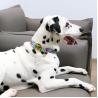Buy cheap Adjustable Pet Dog Collars Classic Dog Collar With Quick Release Buckle from wholesalers