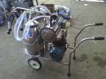 XD32WY-2 twin buckets and Oilless Vacuum pump Electric motor mobile milking