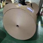 Heat Resistant Wood Pulp PE Coated Kraft Paper 150-350gsm Glossy Matte Finish
