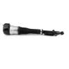 Buy cheap A2213205513 Rear Air Suspension Shock Absorber For Mercedes Benz W221 Air Struts from wholesalers