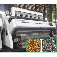 Buy cheap Buckwheat Color Sorter Intelligent Removal For Fagopyrum Esculentum product